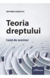 Teoria dreptului. Caiet de seminar - Septimiu Ioan Put