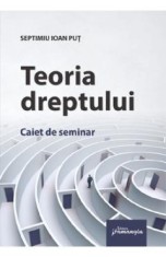 Teoria dreptului. Caiet de seminar - Septimiu Ioan Put