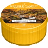 Kringle Candle Amberwood Moss lum&acirc;nare 42 g