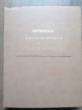 Ilarion Puscariu Metropolia Romanilor ortodocsi din Ungaria și Transilvania