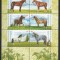 Argentina 2000 Mi 2607/12 klb MNH - Rase de cai