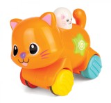 PISICUTA INTERACTIVA, Winfun