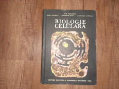 BIOLOGIE CELULARA - ILIE DICULESCU, 1983 foto