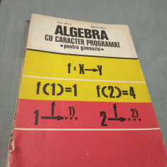 ALGEBRA CU CARACTER PROGRAMAT PENTRU GIMNAZIU DAN NICA 1977/326 PAG