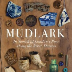 Mudlark: In Search of London's Past Along the River Thames