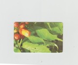bnk card Cartele telefonice - Romania Romtelecom 2005 - Flowers - Flowers - Puzzle 4/4 - Col:RO-ROM-0286A
