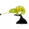 Macheta 3D Fridolin, Cameleon