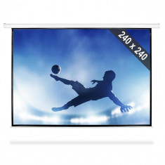 FrontStage Ecran Proiec?ie tip Roll Up HDTV 240x240cm foto