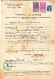 AMS - CERTIFICAT DE UCENICIE, RĂDĂUȚI ANUL 1940
