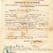 AMS - CERTIFICAT DE UCENICIE, RĂDĂUȚI ANUL 1940