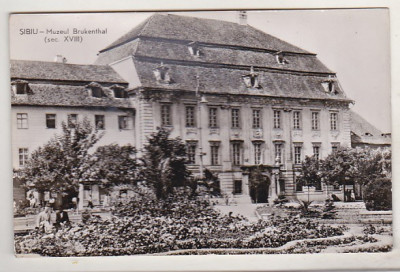 bnk cp Sibiu - Muzeul Brukenthal - necirculata foto