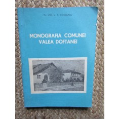 MONOGRAFIA COMUNEI VALEA DOFTANEI - ION V. T. COJOCARU