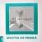 Efectul de prisma - 1998 - Florin Faifer ($J31)