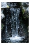 Tablou Canvas, "Cascada liniștită printre st&acirc;nci verzi", Cascade, Apă, Rocă, Vegetație, Natură, Flux, Răcorire, Spumă, Ploaie, Curgere, 26 x 39 cm, CM