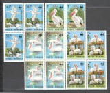 Romania.1984 Protejarea naturii-Pelicani bloc 4 ZR.746, Nestampilat