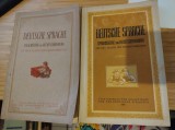 Manuale vintage de limba germană. Deutsche Sprache fur die I und III Klasse
