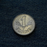 1q - 1 Forint 1982 Ungaria, Europa