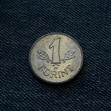 1q - 1 Forint 1982 Ungaria, Europa