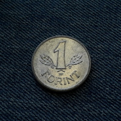 1q - 1 Forint 1982 Ungaria foto
