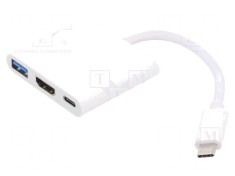 Adaptor USB 3.0/3.1 Nichelat 0,2m Alb-Argintiu