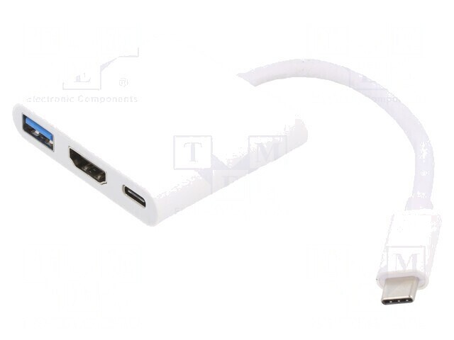 Adaptor USB 3.0/3.1 Nichelat 0,2m Alb-Argintiu