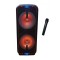 Boxa Activa Portabila , Statie Integrata , Microfon Wireless , Bluetooth , Cititor Stick USB , Card MicroSD ,