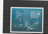 Fauna ,protectia delfinilor,Norfolk., Nestampilat