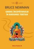 Cumpara ieftin Ghidul incepatorului in budismul tibetan/Bruce Newman