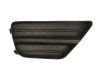 Grila ventilatie, bara protectie FORD FOCUS Combi (DNW) (1999 - 2007) BLIC 5410-01-2532908PP