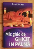 Mic ghid de ghicit in palma de Rene Brunin