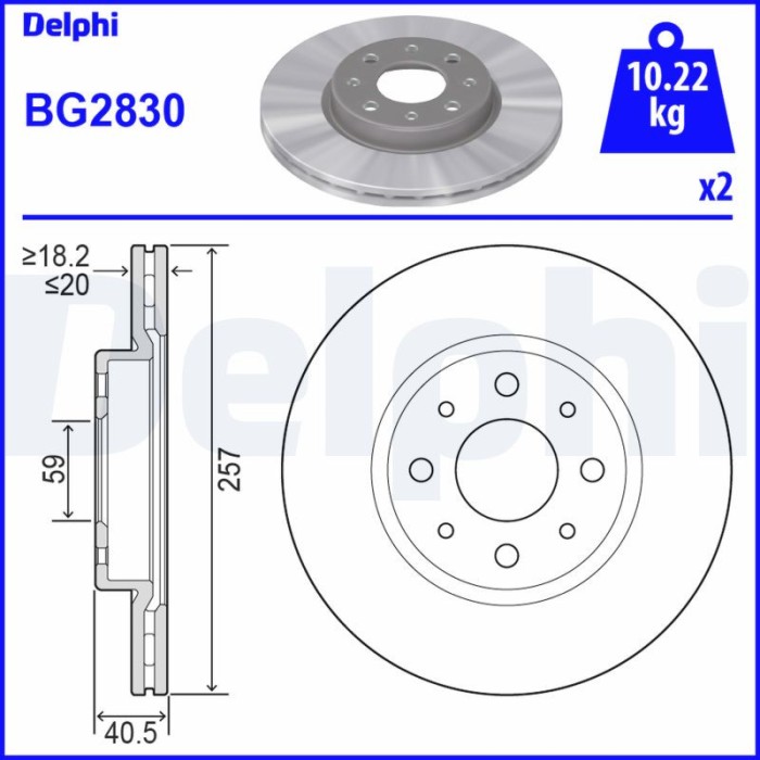 DELPHI BG2830 Disc frana