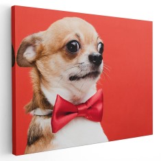 Tablou caine Chihuahua cu papion rosu Tablou canvas pe panza CU RAMA 20x30 cm