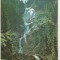 bnk cp Cascada Cailor din Borsa - Vedere - uzata