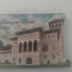 M3 C3 - Magnet frigider tematica turism - Castelul Cantacuzino - Romania 29