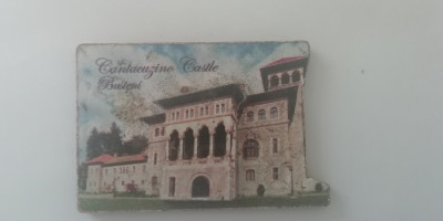 M3 C3 - Magnet frigider tematica turism - Castelul Cantacuzino - Romania 29 foto