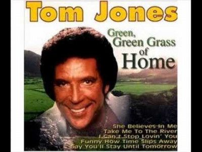 CD Original Tom Jones Green Green Grass of Home foto
