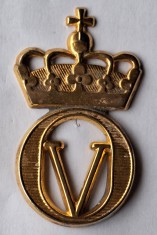 Coifura cascheta - insigna militara