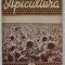APICULTURA , ORGAN DE INDRUMARE APICOLA A MINISTERULUI AGRICULTURII SI SILVICULTURII , NR. 7 , IULIE , 1957