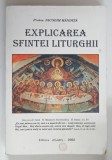 EXPLICAREA SFINTEI LITURGHII de Protos . NICODIM MANDITA , 2002, * COPERTA PREZINTA PETE