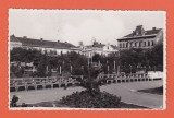 AMS @ - ILUSTRATA/VEDERE SATU MARE 1936, CIRCULATA, printata