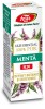 ULEI MENTA R20 UZ INTERN 10ML
