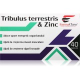 FarmaClass Industry Tribulus terrestris &amp; zinc capsule pentru susținerea potenței și a vitalității 40 caps.