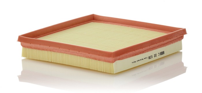 MANN-FILTER C 22 038 Filtru aer