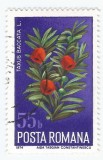 *Romania, LP 861/1974, Ocrotirea naturii - Flori, 55 bani, eroare, oblit.