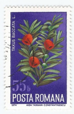 *Romania, LP 861/1974, Ocrotirea naturii - Flori, 55 bani, eroare, oblit. foto