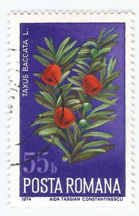*Romania, LP 861/1974, Ocrotirea naturii - Flori, 55 bani, eroare, oblit.