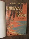 Undeva... pe un țărm - Mihail Pop