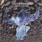 CD Jamiroquai &ndash; Synkronized (G+)