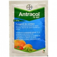 Fungicid - Antracol 70 WG 20gr foto