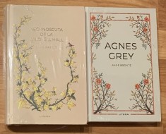 Set 2 carti de Anne Bronte. Editura Litera, Colectia Romane nemuritoare